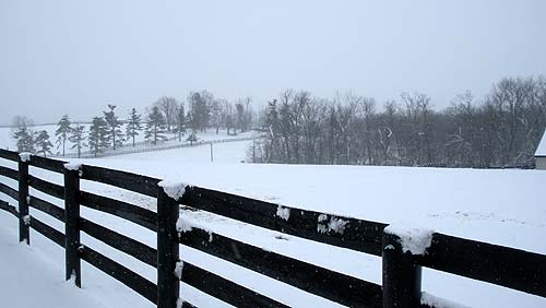 Photo of Winter in Kentucky