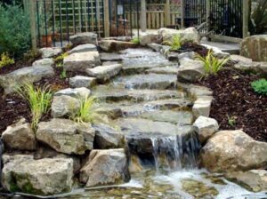 Read more about the article Treat Your Garden This Summer With Water Features