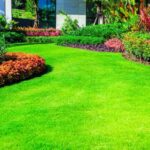 7 Ways to Create the Perfect Lawn for Your Home