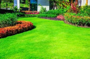 Read more about the article 7 Ways to Create the Perfect Lawn for Your Home