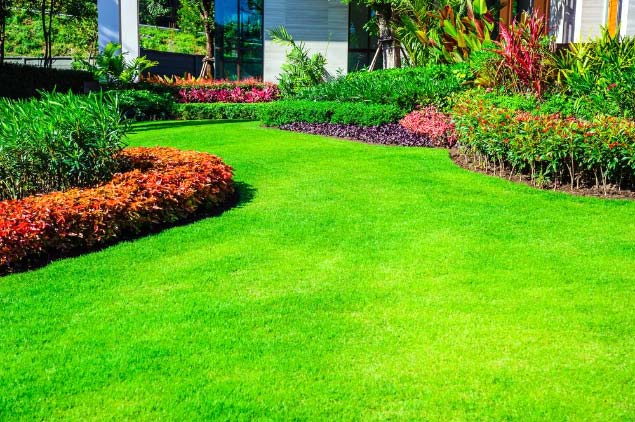 Photo that will help you Create the Perfect Lawn