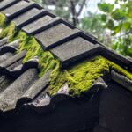 Professionals Reveal Best Ways to Maintain Your Roof