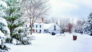 Read more about the article Winter Lawn Care: Keeping Your Yard Healthy During Cold Months
