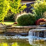 Landscaping Trends You Need to Know About
