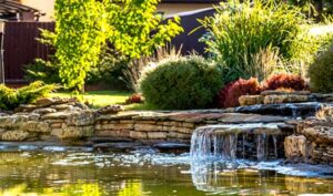 Read more about the article Landscaping Trends You Need to Know About