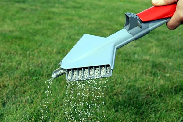 5 Spraying Tips for a Great Lawn