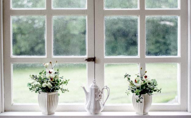 Photo of some windows with plants on a ledge