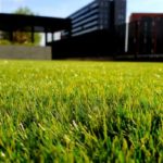 The Big 5 Lawn Care Tips for Summer