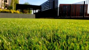 Read more about the article 9 Awesome Ideas for Your Lawn and Garden