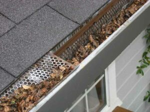 Read more about the article How to Clean Your Gutters in 5 Steps