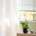 Types of Window Shades: Pros and Cons