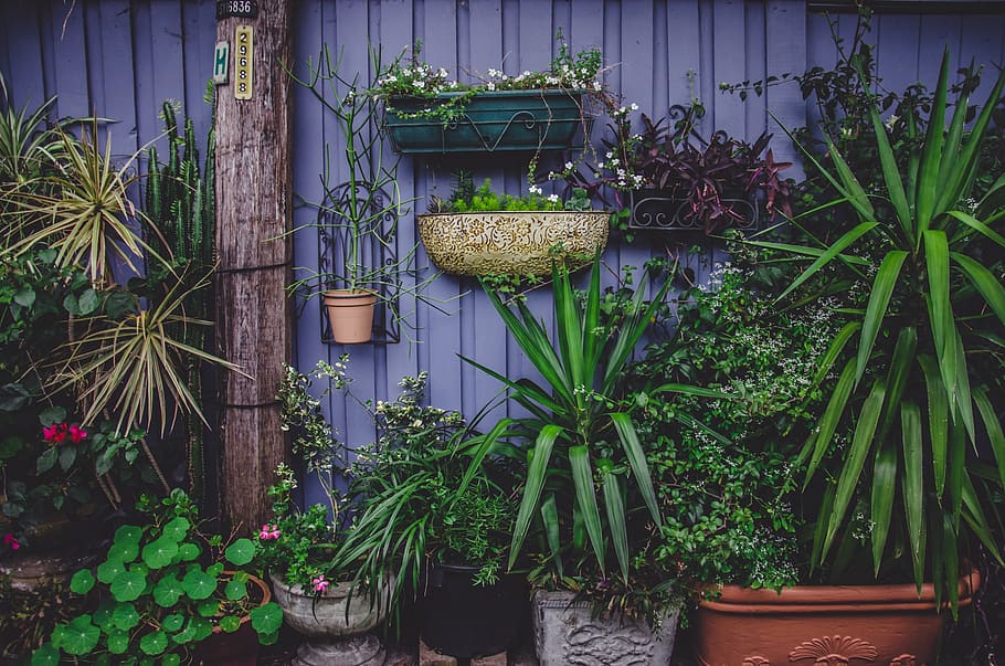 Photo of an outdoor garden