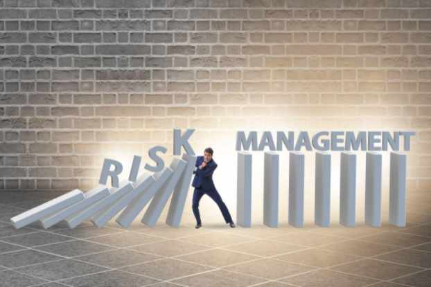 Risk Management grapphic