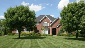 Read more about the article 7 Ways to Improve Curb Appeal and Add Value to Your Home