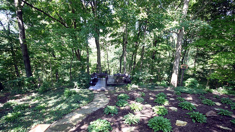 Photo of a private wooded backyard remodel