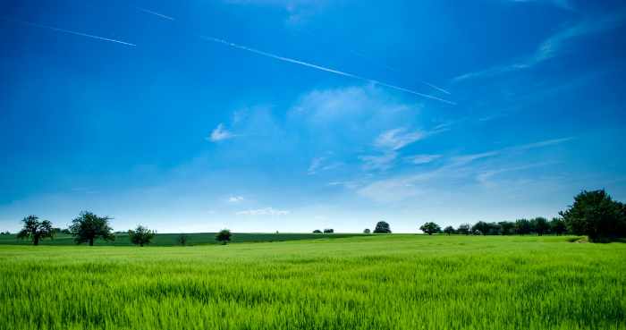 Photo of land with green grass and blue sky