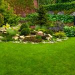 Top Garden Improvements to Boost Your Property’s Value