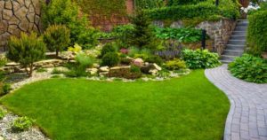 Read more about the article Top Garden Improvements to Boost Your Property’s Value