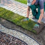 Landscape Maintenance Best Practices to Preserve Your Home’s Value 