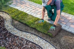 Read more about the article Landscape Maintenance Best Practices to Preserve Your Home’s Value 