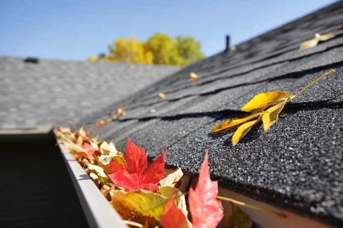 Photo of a home's roof and gutters with leaves in them