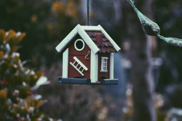 Photo of a birdhouse hanging from a wire.