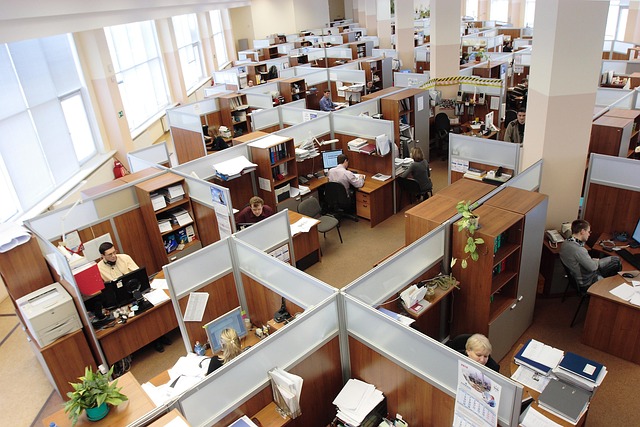 Photo of an office full of workers in their cubicles with computers - 4 Most Outsourced Services in Real Estate