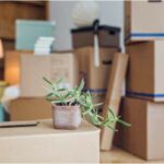 5 Key Moving Tips When Relocating for a Job