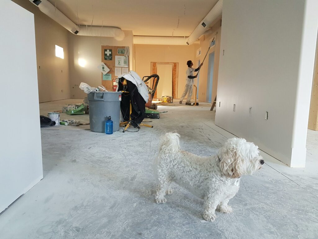 Photo of a living room in a new construction home with workers and a white dog