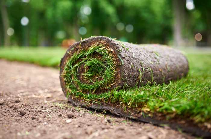 Photo of new sod being installed - The Artistry Of Hardscaping And Softscaping: Crafting Beautiful Outdoor Spaces