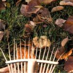 Property Upkeep Made Simple: Smarter Habits For Long-Term Value