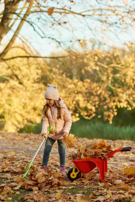 Photo of a young girl raking leaves