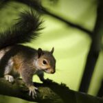 The Yearly Pest Calendar: What To Expect In Your Home