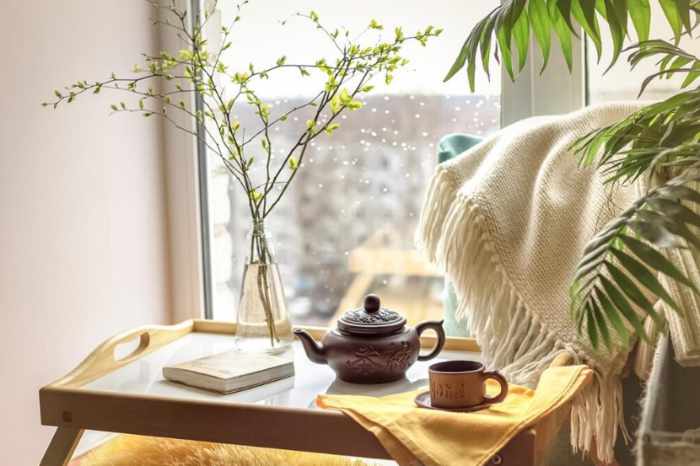 Photo of a food tray with plants and a window | Behind the Walls: 5 Hidden Water Pathways that Lead to Home Flooding