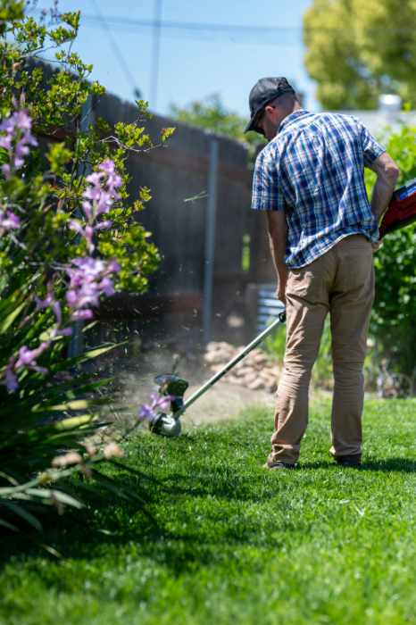 Photo of a man trimming his lawn
