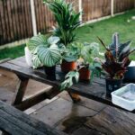 How Smart Landscaping Enhances Home Resale Metrics