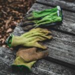 7 Essential Garden Maintenance Tasks to Complete Before Listing Your Home